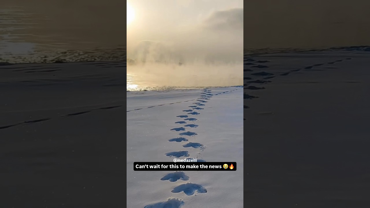 I’m Making History 🦖 - Published by Medazelli