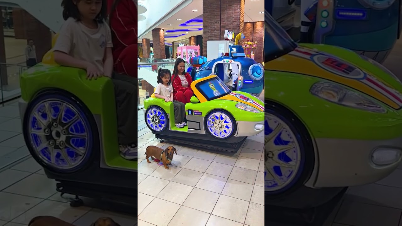 ЭЛИ НЕ ВЗЯЛИ С СОБОЙ???😮😮😮