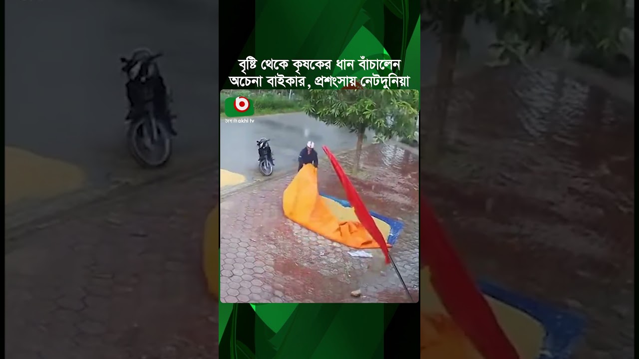 বৃষ্টি থেকে কৃষকের ধান বাঁচালেন অচেনা বাইকার, প্রশংসায় নেটদুনিয়া | Biker Save Rice | Tv News