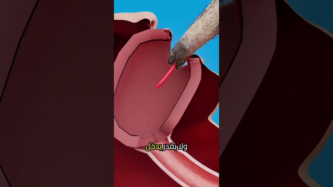 شيصير اذا اكل النمل دخل لسانه بفمك😨#اكسبلور #معلومات #معلومات_عامة #حقائق #موسوعة_غينيس