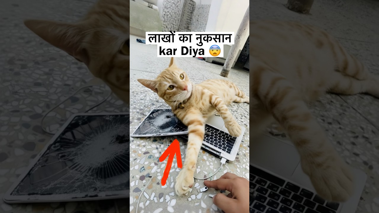 लाखों का Nuksan Kar Diya 😱