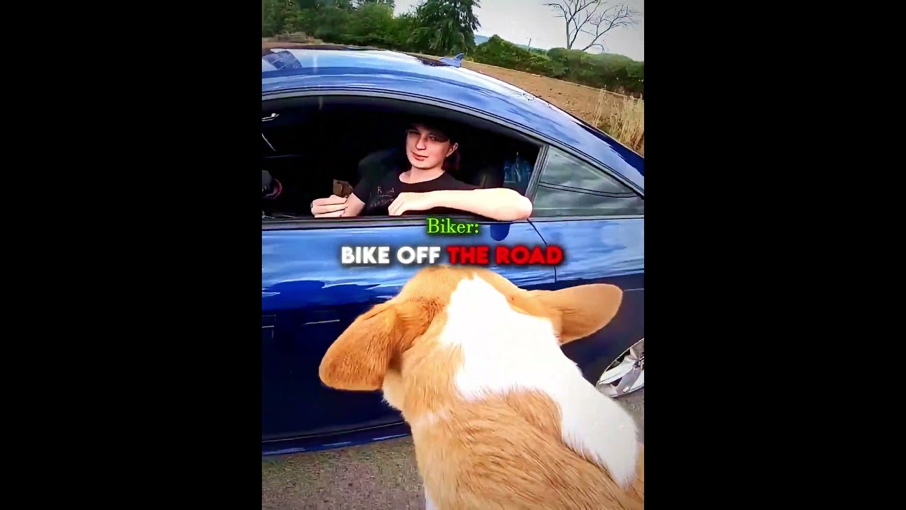 Biker saves the day for this lost puppy 🥹🐕