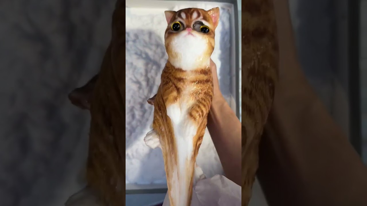 This Chinese Cat Toy Is So Sticky It Needs Gloves 😱