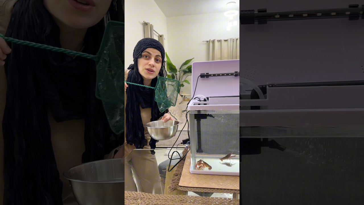 عملت احلا بيت 😍😍 ام سيف ونانو