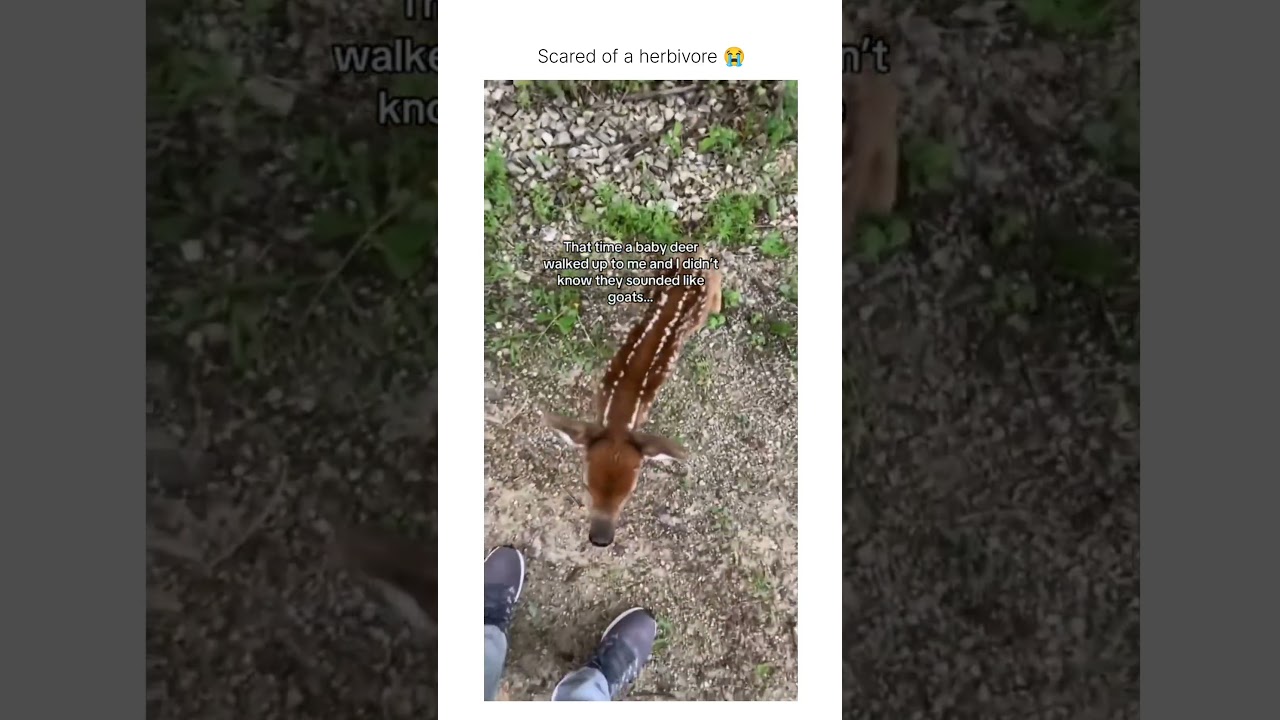 It’s was beeping for you to get out of the way