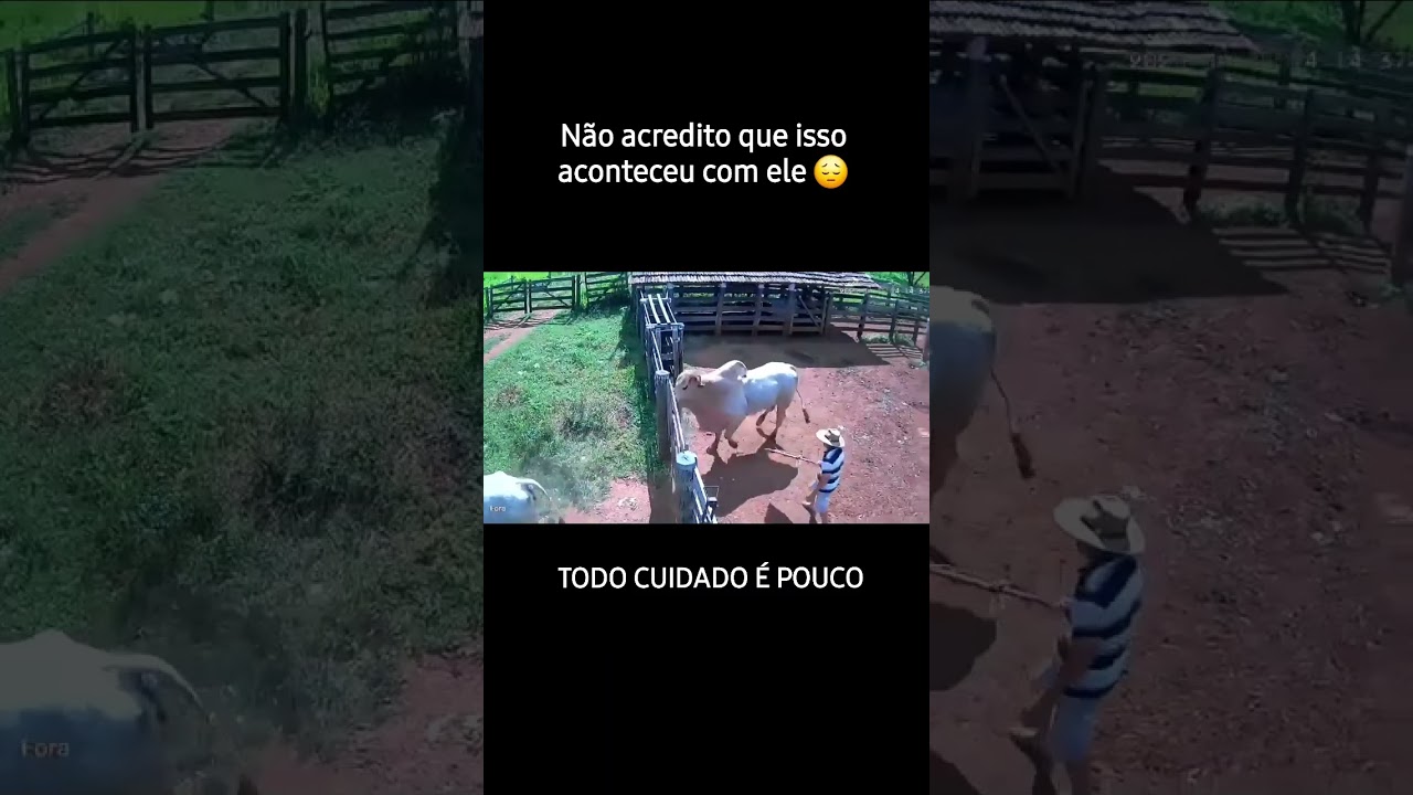 Touro Cagou no Próprio Dono! 😂🐂💩