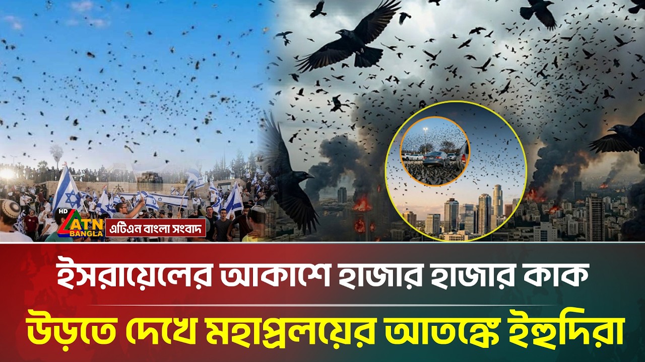 তেলআবিবের আকাশে উড়ছে হাজার হাজার কাক, মহাপ্রল/য়ের আ/ত/ঙ্কে ইস/রায়ে/লিরা | Israel | ATN Bangla News