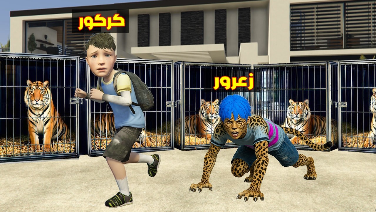 فلم قراند : زعرور النمر يجمع كل نمور العالم في المنزل ( كركور هرب ) 🔥😂
