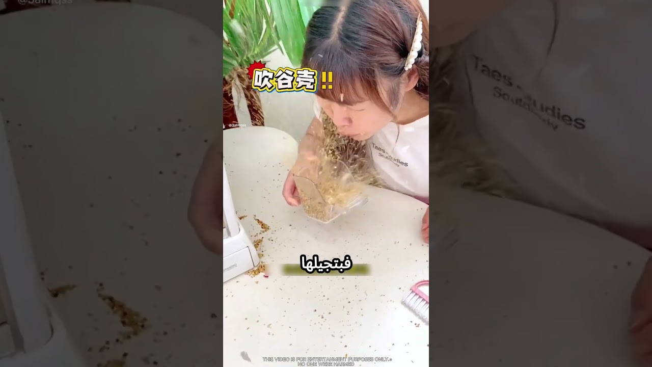 بتحط أكل للعصافير بس بتحصل مشكلة #viral
