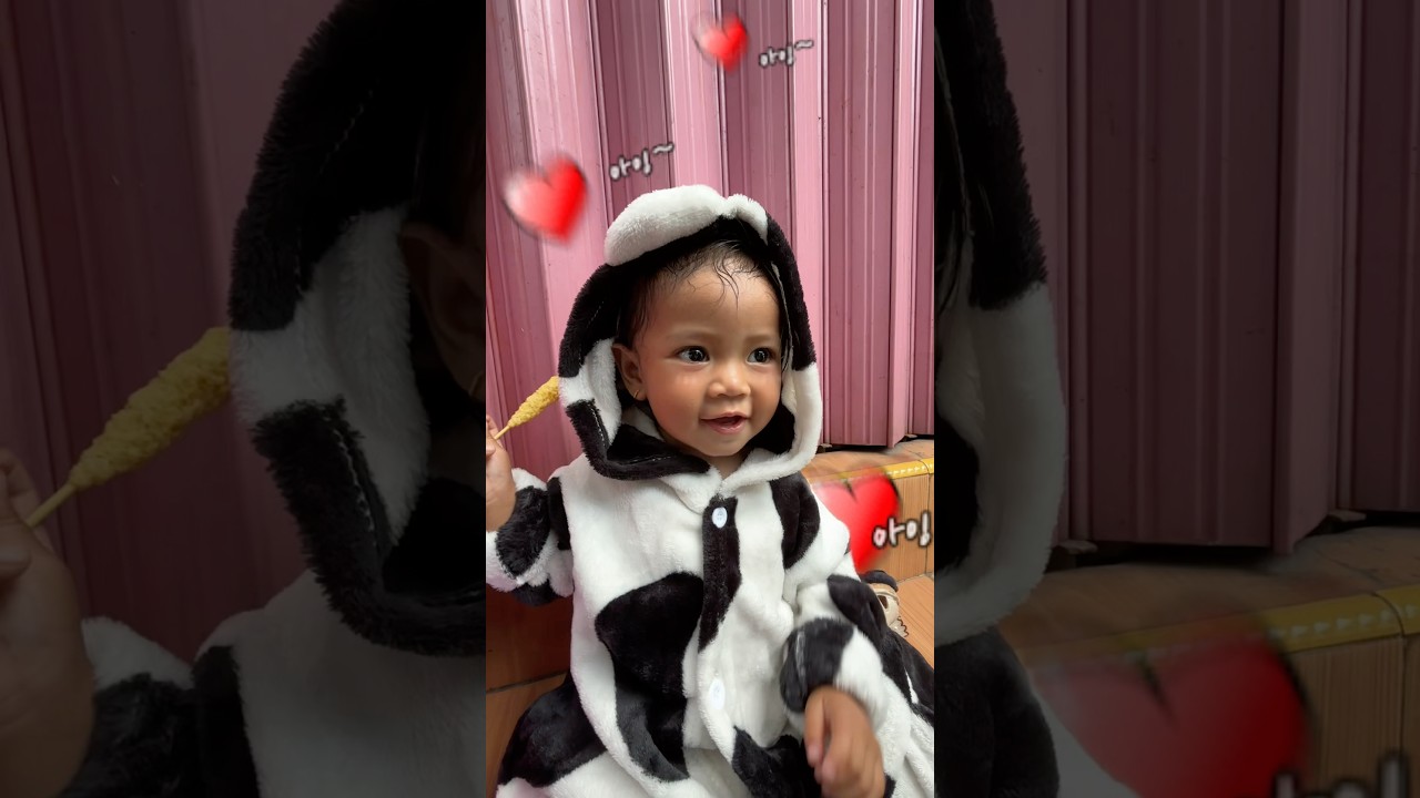 Kk Asyifa pulang bareng Anak sapi 🤭😂🥰