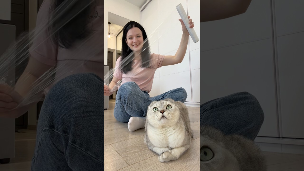 The weirdest hack but it actually works…🫣 #cat #viralcats #hack #lifehacks