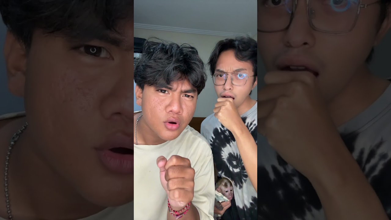 HAYO TEBAK ADA BERAPA MONYET DISINI🤔 #shortvideo