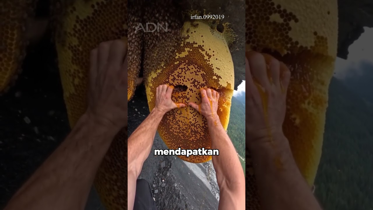 Madu Ini Bisa Bikin Orang Halusinasi! 😱
