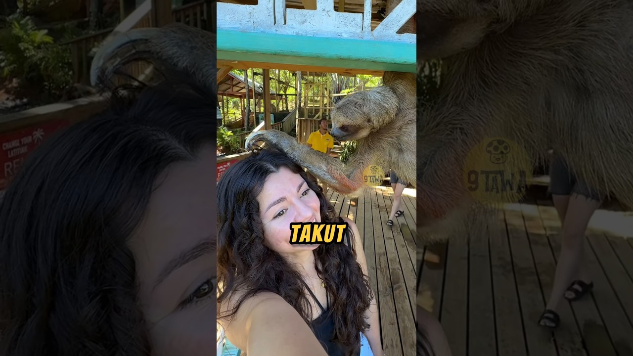 Apa NAMA HEWAN INI❓❓#hewanlucu #videoviral #hewan