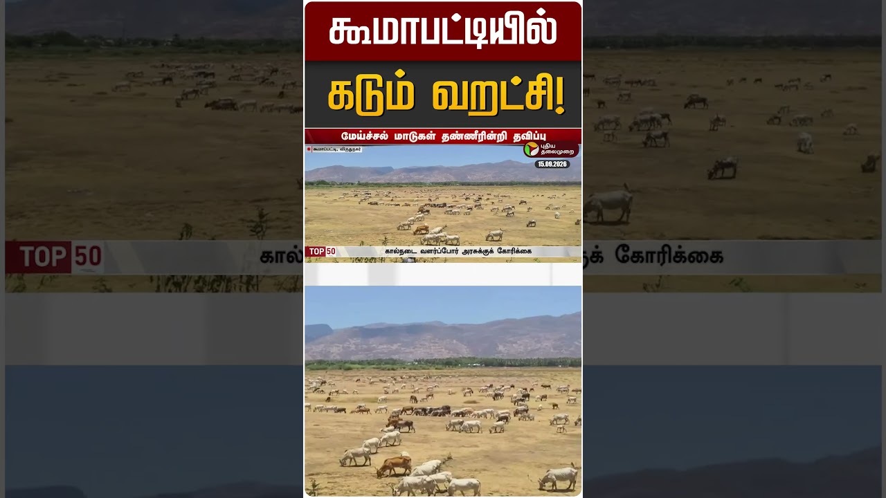 கூமாபட்டியில் கடும் வறட்சி! | Koomapatti