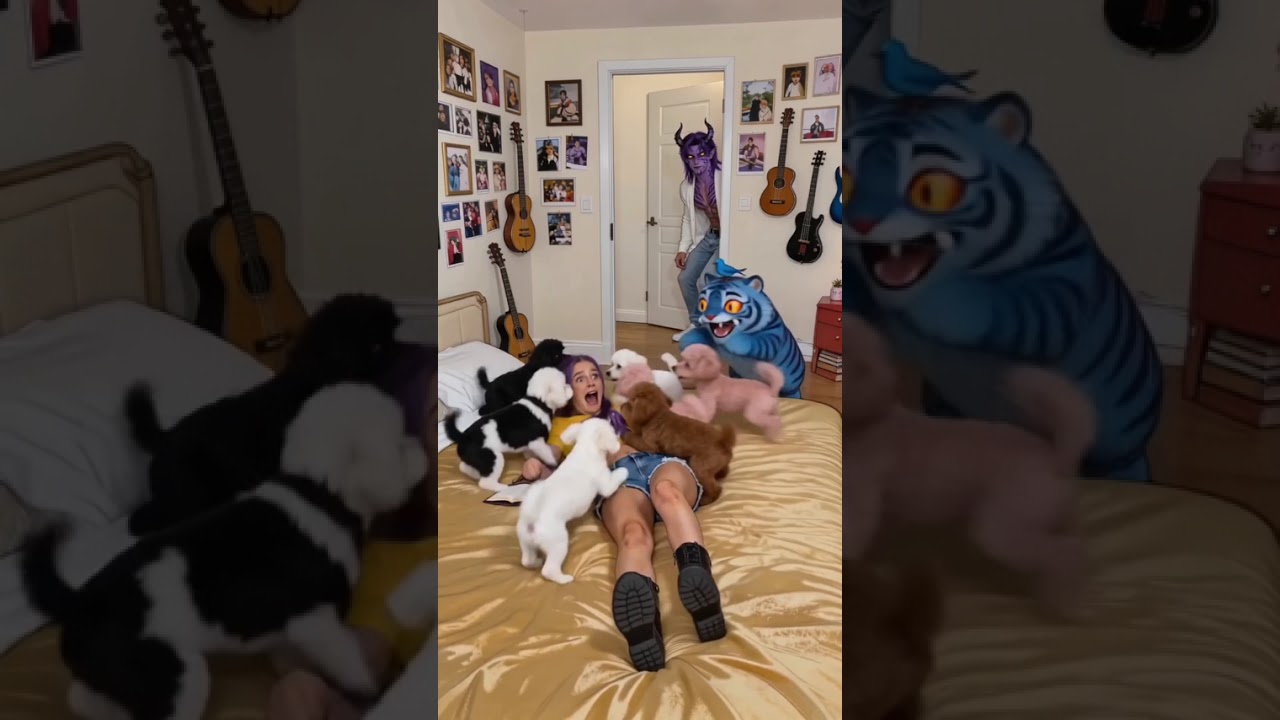 Cute puppies dance with Rumi.#kpop #cuteanimals #puppies