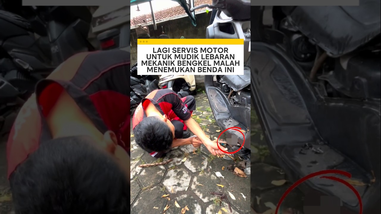 lagi servis motor untuk mudik lebaran mekanik bengkel malah menemukan benda ini ❗ #videoviral