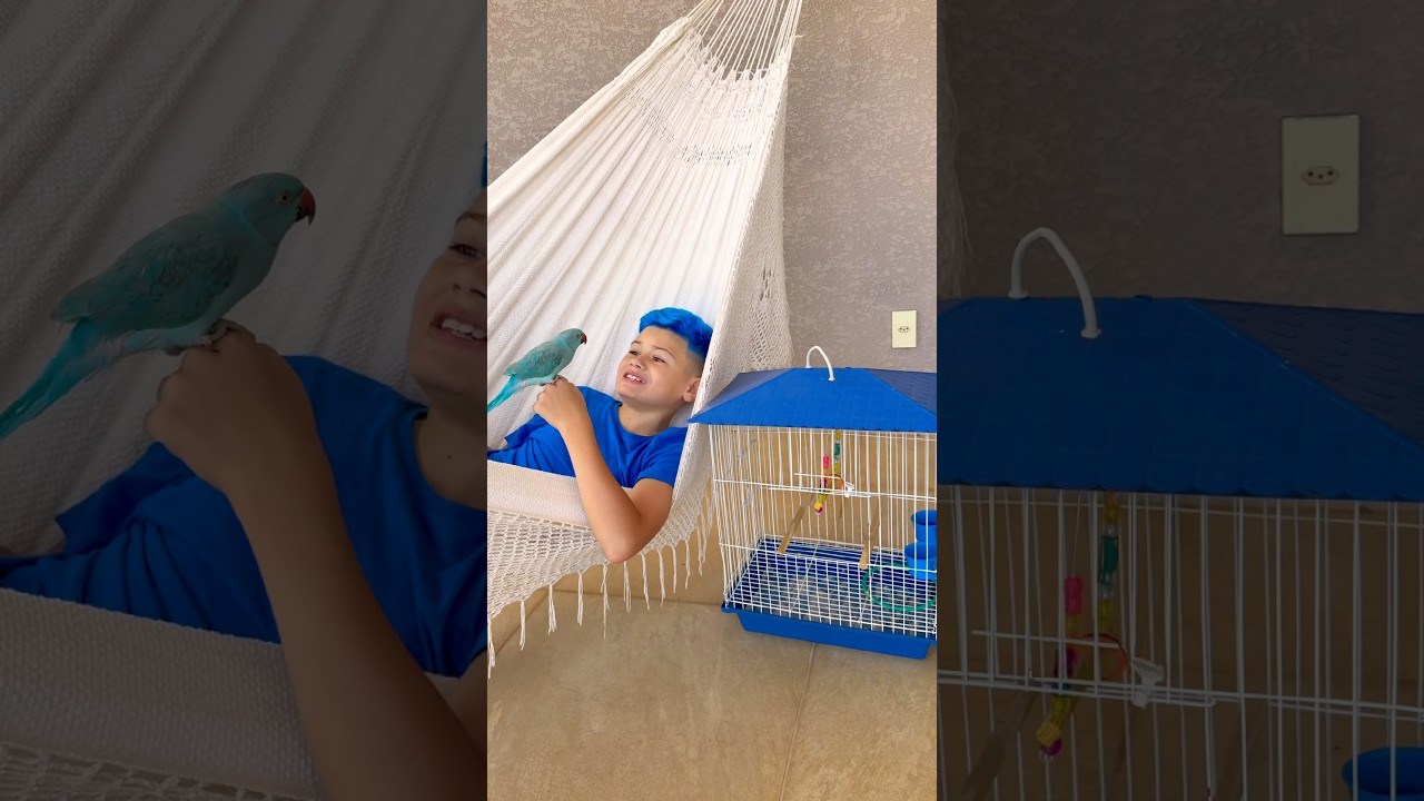 MC LORENZO INDO DORMIR #mclorenzo