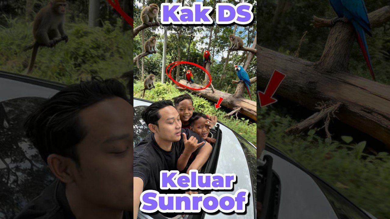 Kak DS keluar Sunroof #anakdesa #minivlog #comedy #sunroof #mobil