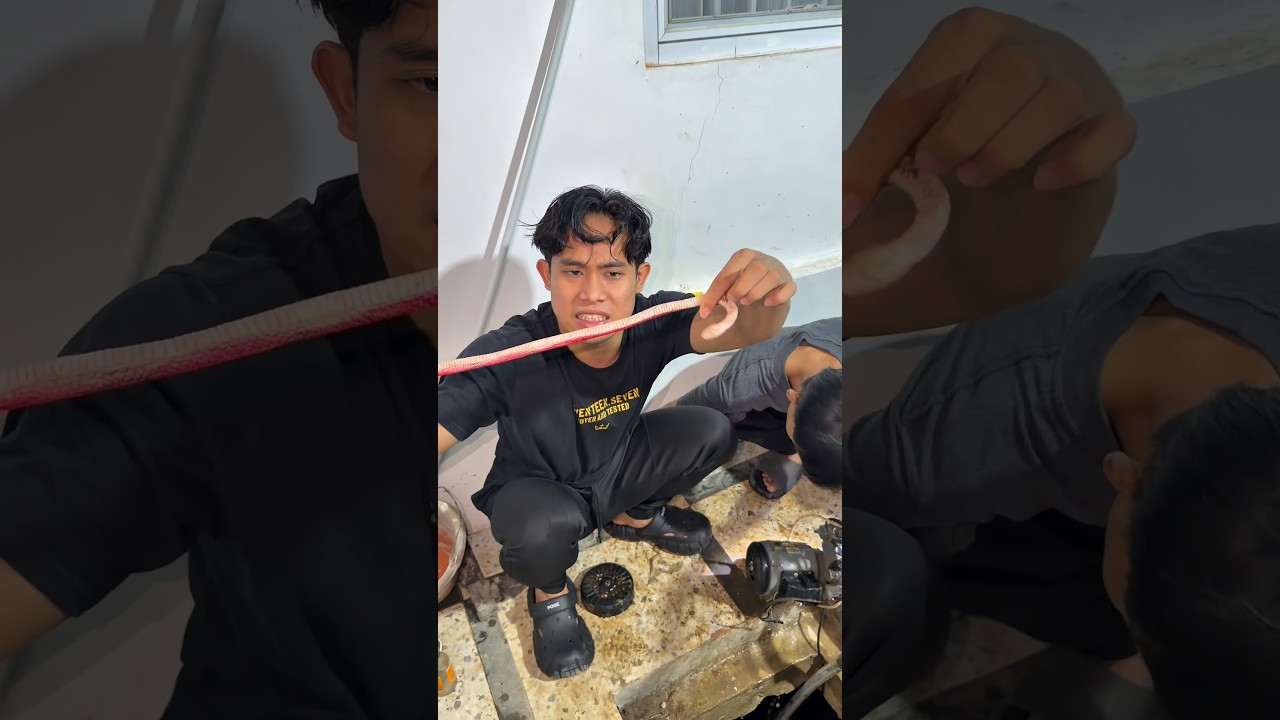 Ular di dalam mesin air #shorts #minivlog #comedy #bocilwargads #maspreman #sidoii