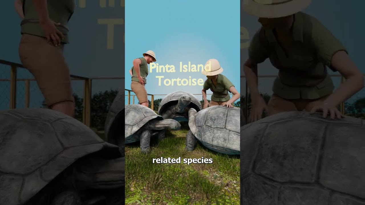 Why This Species Could Not Be Saved 😢