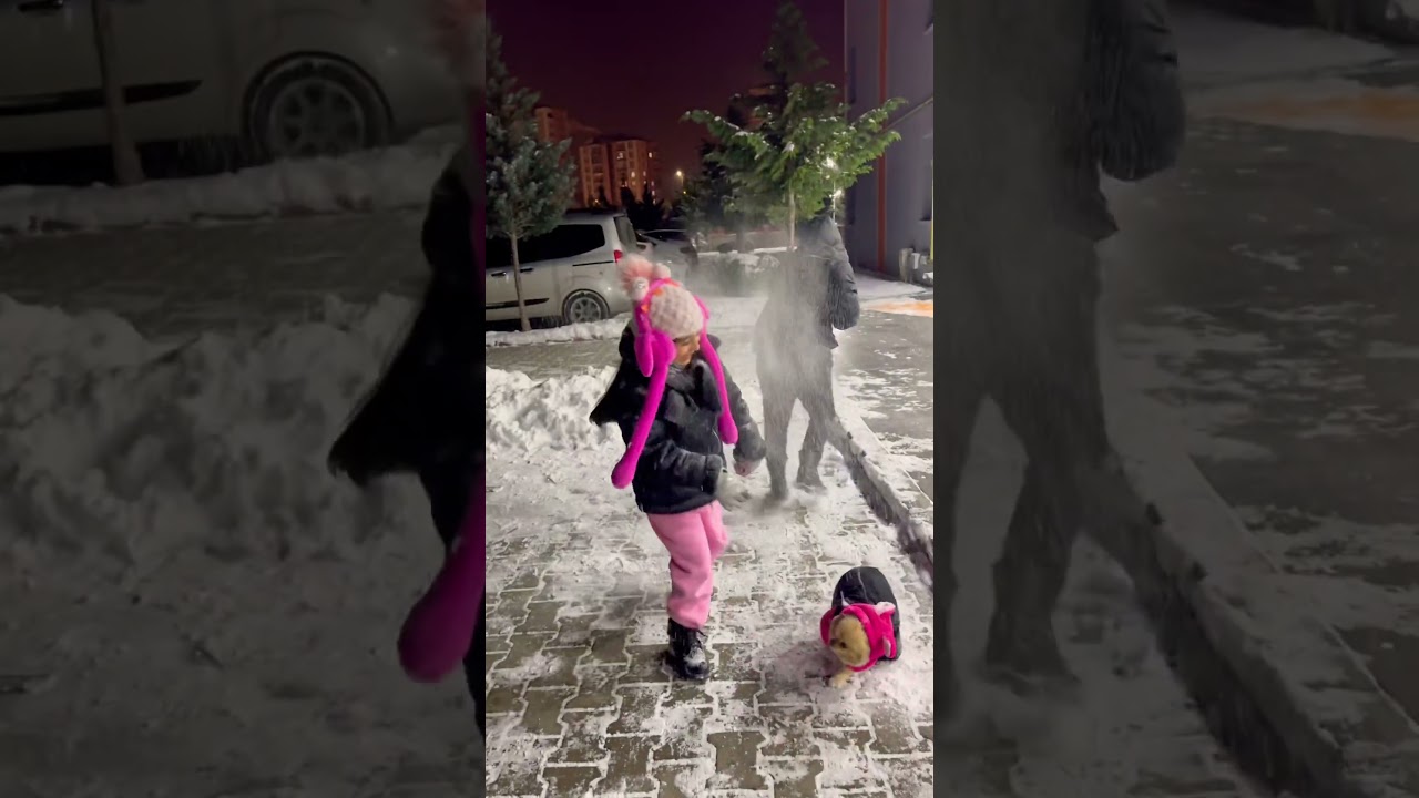 Sinirli çocuk köpeği kaçırdı !! #keşfet #shorts