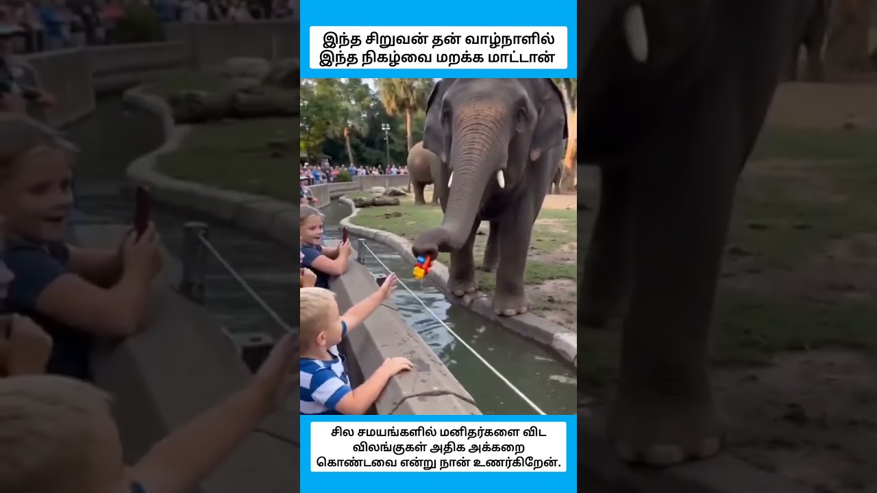 இந்த சிறுவன் தன் வாழ்நாளில் இந்த நிகழ்வை மறக்க மாட்டான் #shorts