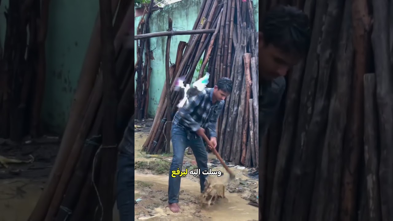 رد فعل الطائر بعد سقوط البيض 🥚💔