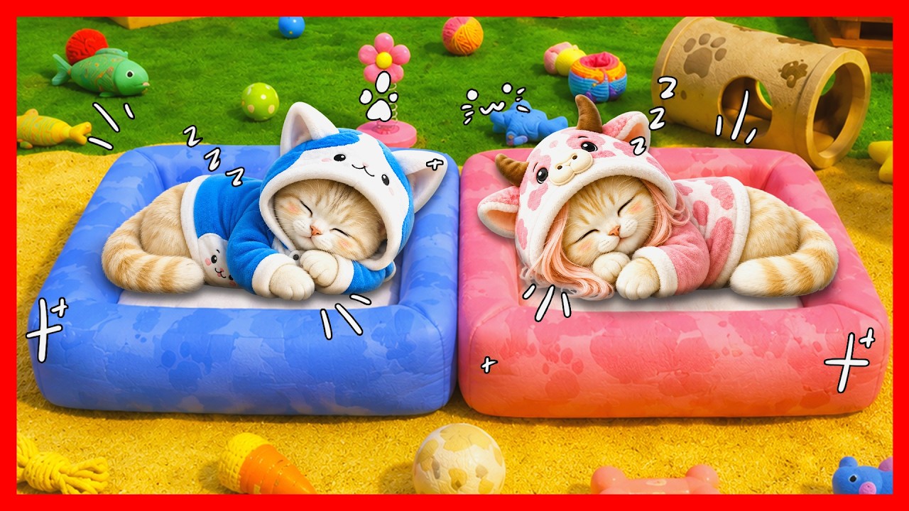 ATUN & MOMON BERUBAH MENJADI KUCING LUCU !! Feat @sapipurba Roblox