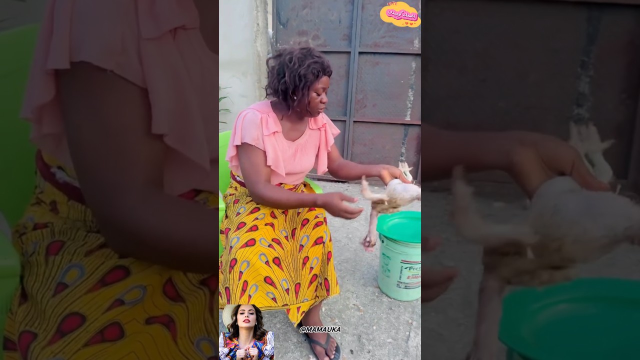 الدجاجه طلعت صاحيه😂#اكسبلور #funny #كوميديات #comedy