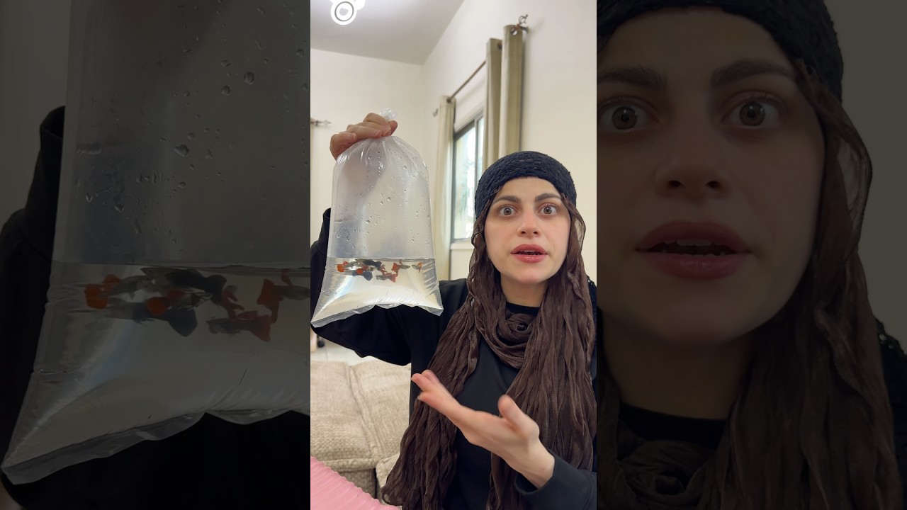جابت سمك من المانيا 😂😂 ام سيف ونانو