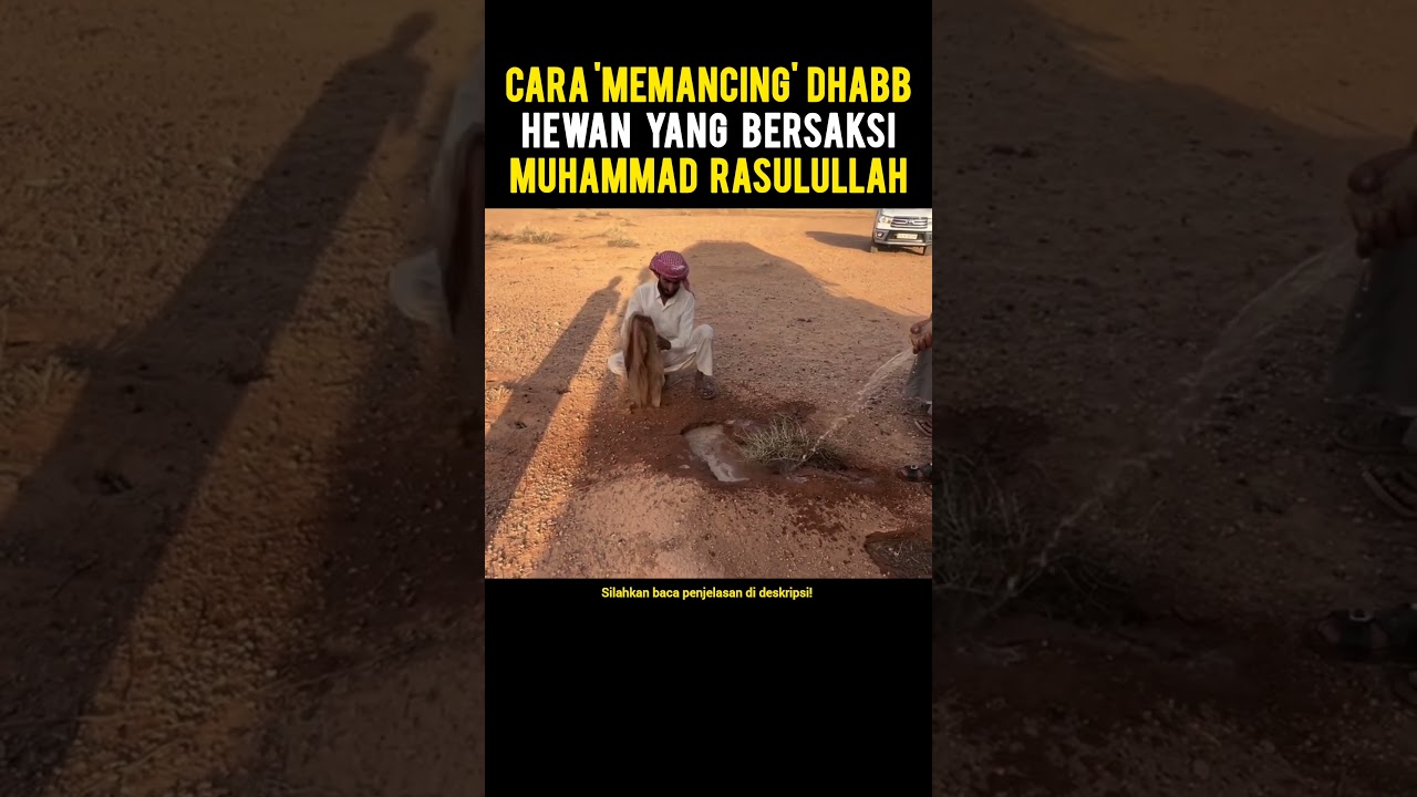 Cara Mancing Dhabb Keluar