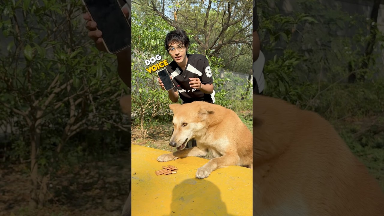 I Tested Dog translator app