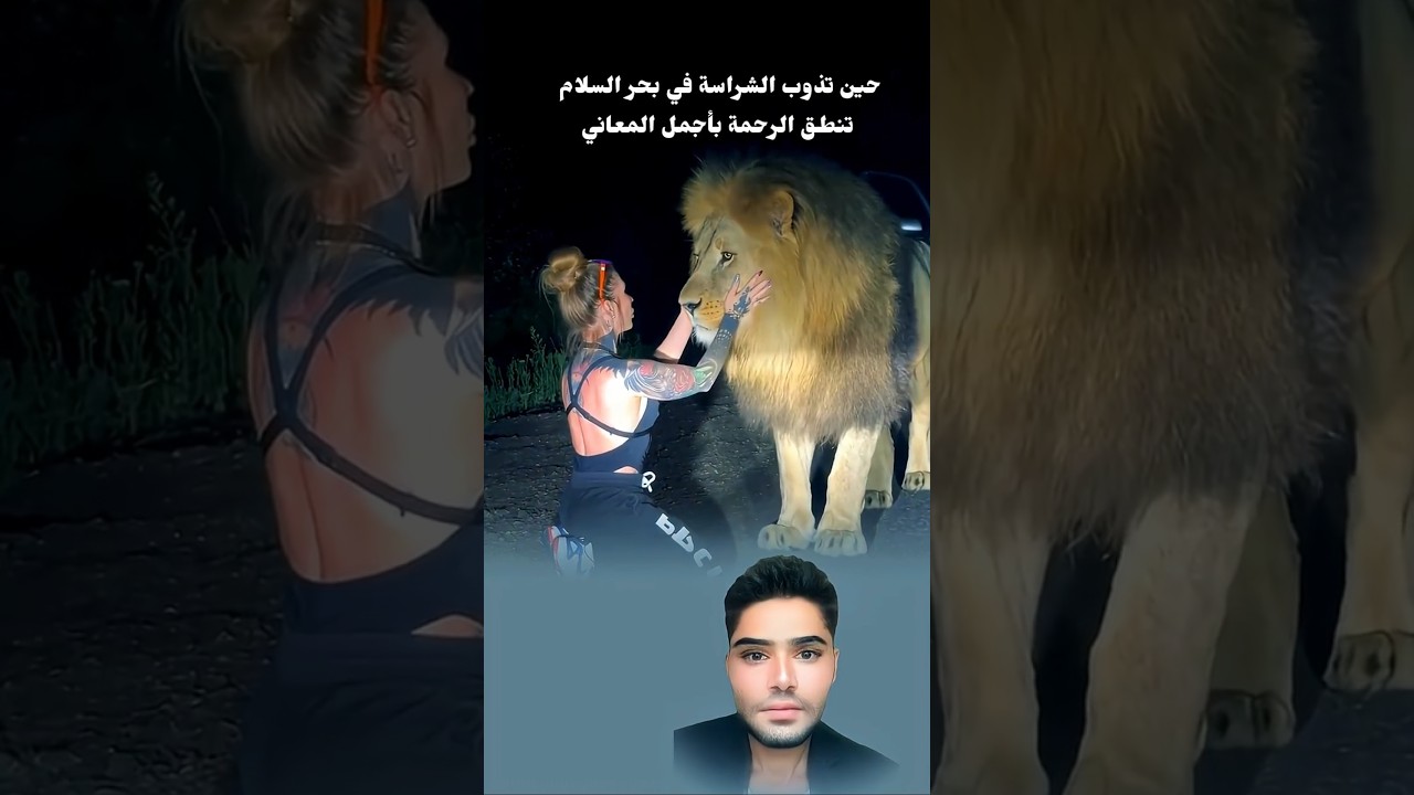 حين تتحدث الرحمة بين الإنسان والأسد... يتجلى لطف الخالق في أبهى صورها! #Shorts #Viral #Trending