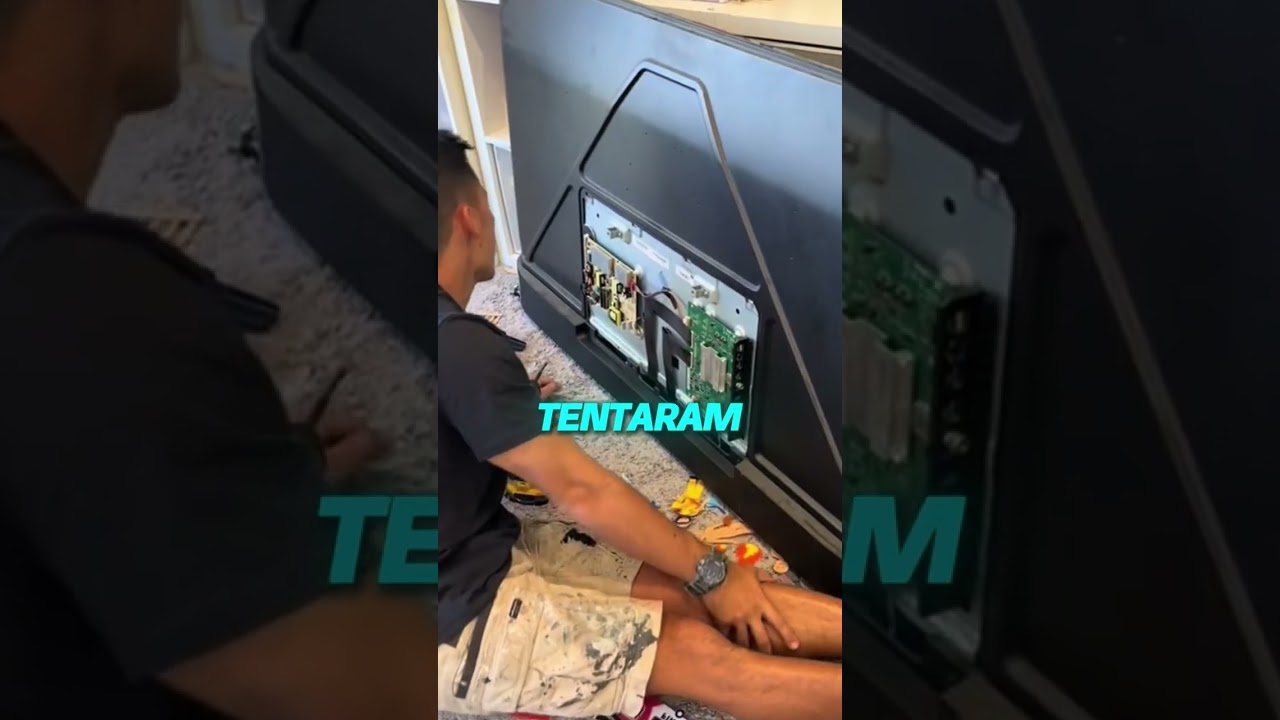 Sua tv pode estar virando um ninho de insetos sem você perceber!