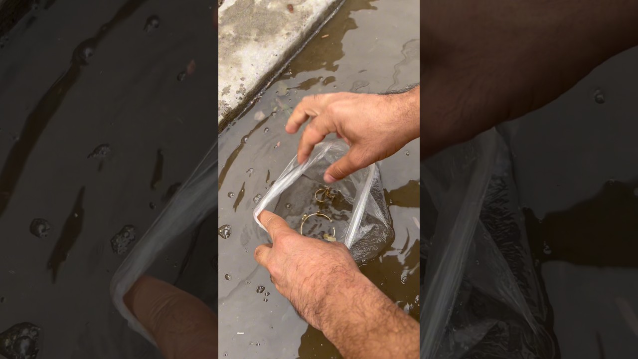 #تحشيش راح الذهب 😂😂😂 #اشتراك_بالقناة #funny #comedy #اكسبلور