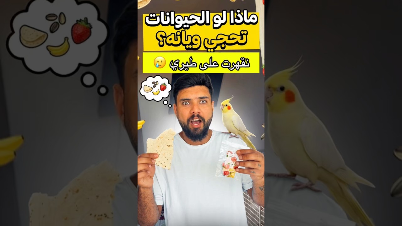 ماذا لو الحيوانات صارت تحجي ويانه