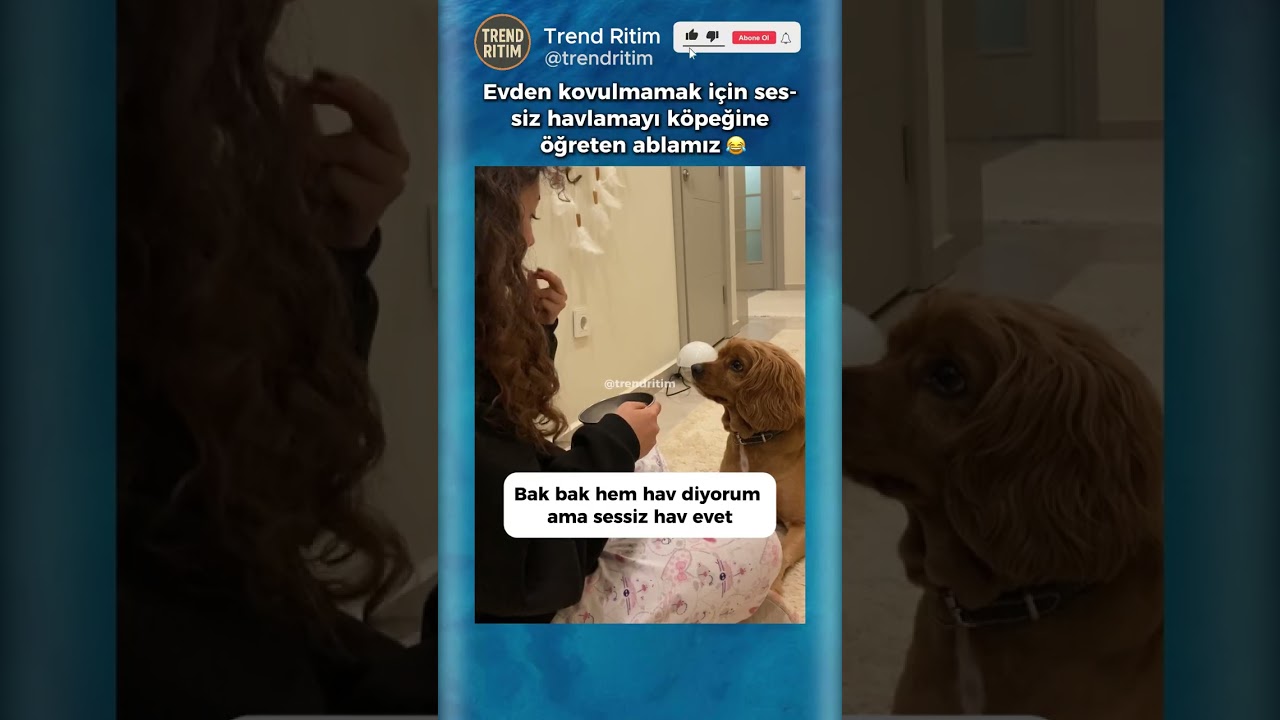 Köpeğine Sessiz Havlamayı Öğreten Kadın 😂🥰