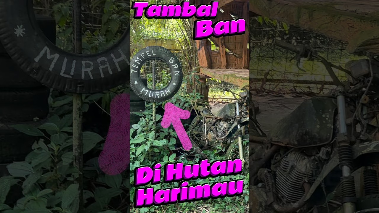 Tambal ban di Hutan Harimau #comedy #minivlog #anakdesa #harimau #bengkel