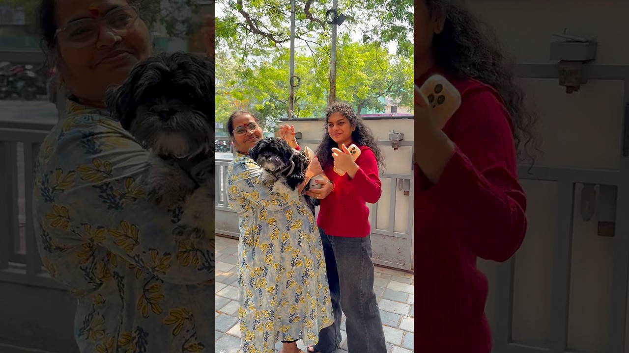 Remo kum Chitti kum grooming 🐾#swv #tamil #comedy #ishqyouall #youtube #shortvideo #pets