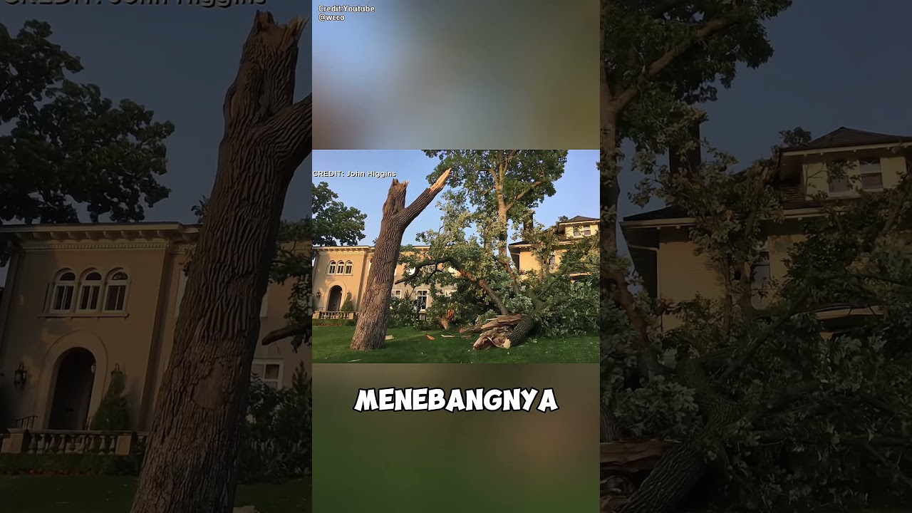Tradisi Aneh di Minneapolis: Pensil 6 Meter yang Diraut Setiap Tahun