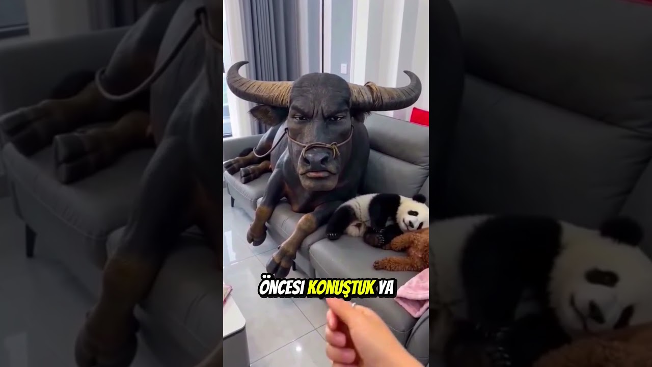Boğa Nasıl Oynanacağını Bilmiyordu! 😂🎬