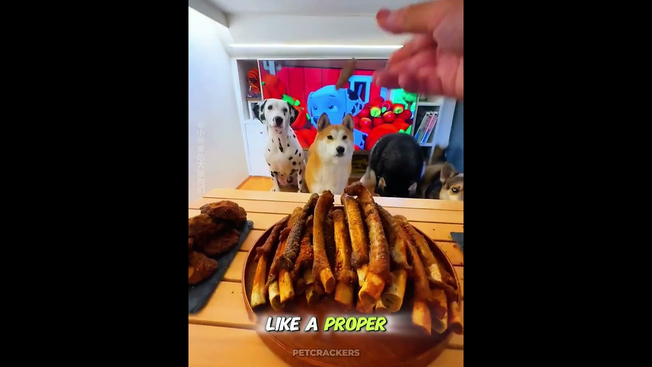 Girlfriend Kicked Him Out — He Planned This With Dogs 😅🎮🐶 #shorts