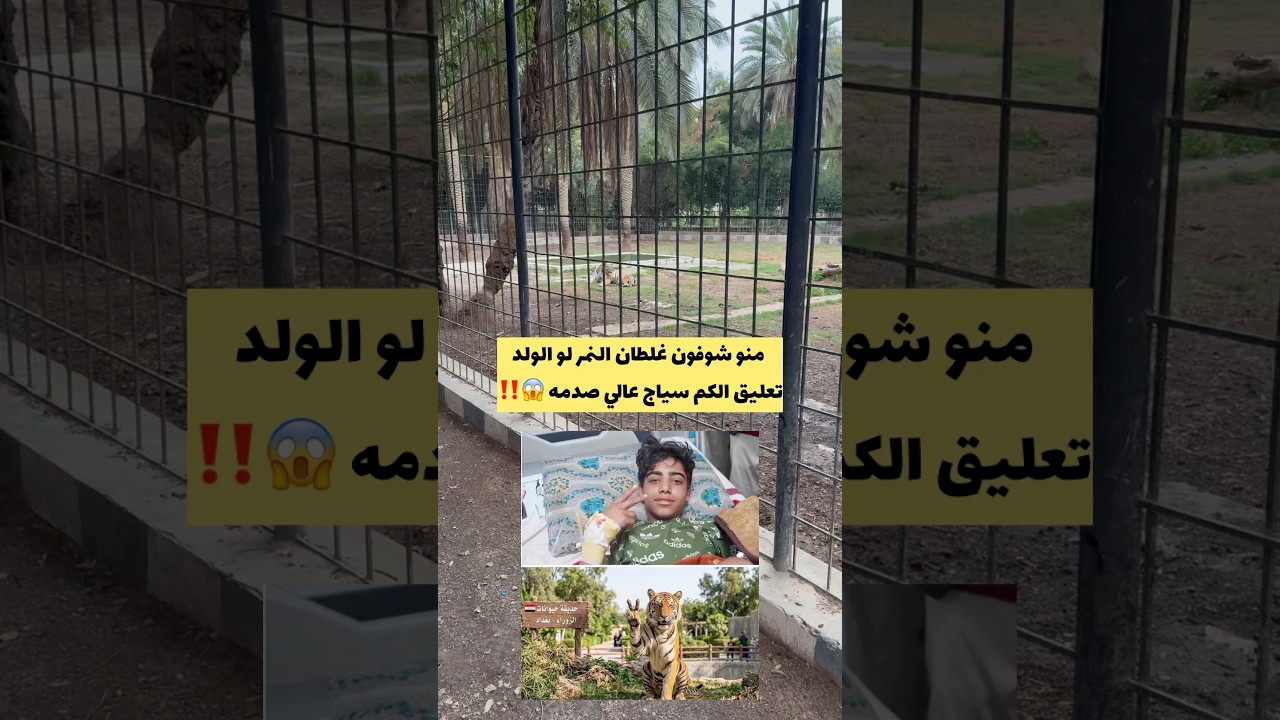 قصه النمر متنزه الزوراء  بغداد منو شوفون الغلطان 😱‼️⁉️