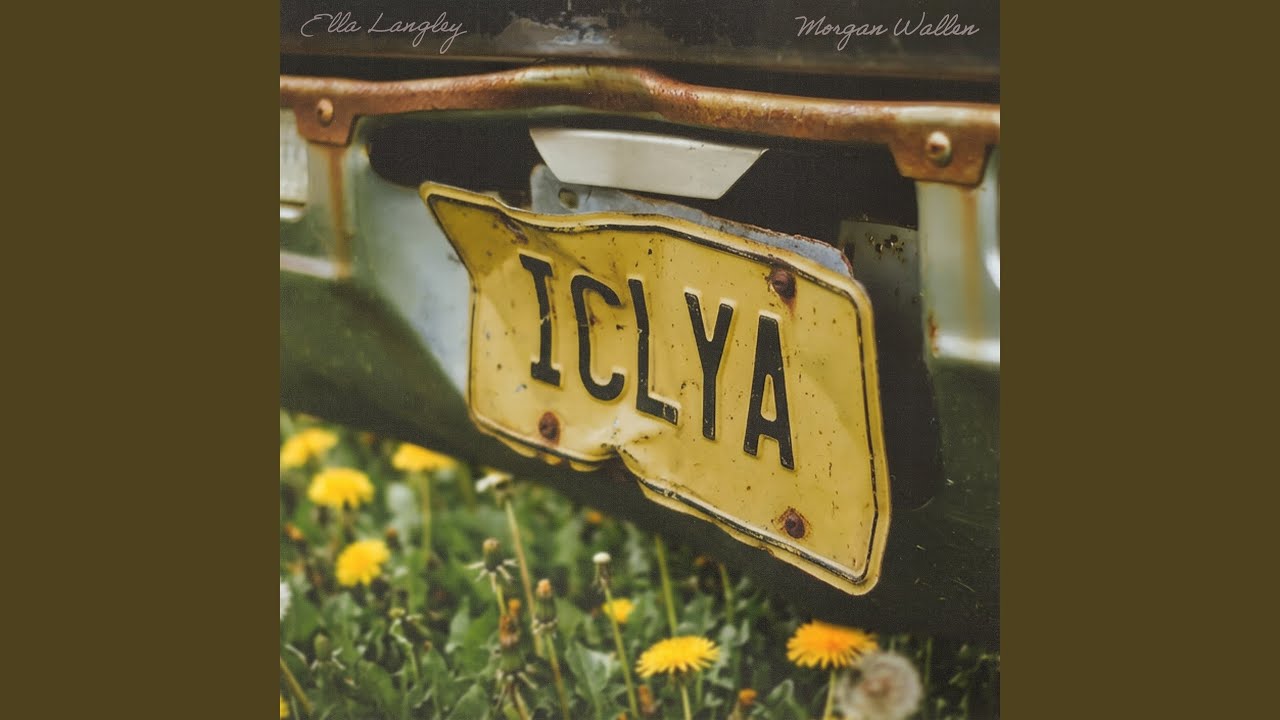 I Can't Love You Anymore