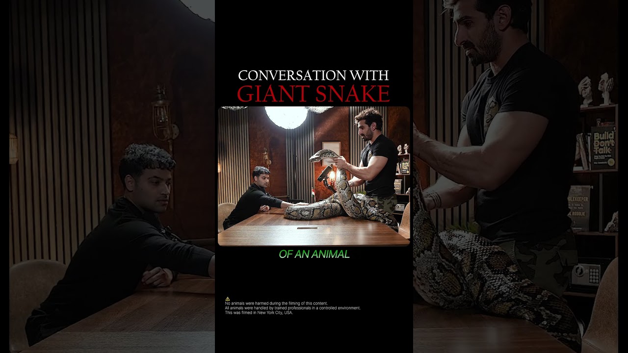 Conversation with Giant Snake | @Junglekeeper - Raj Shamani #shorts
