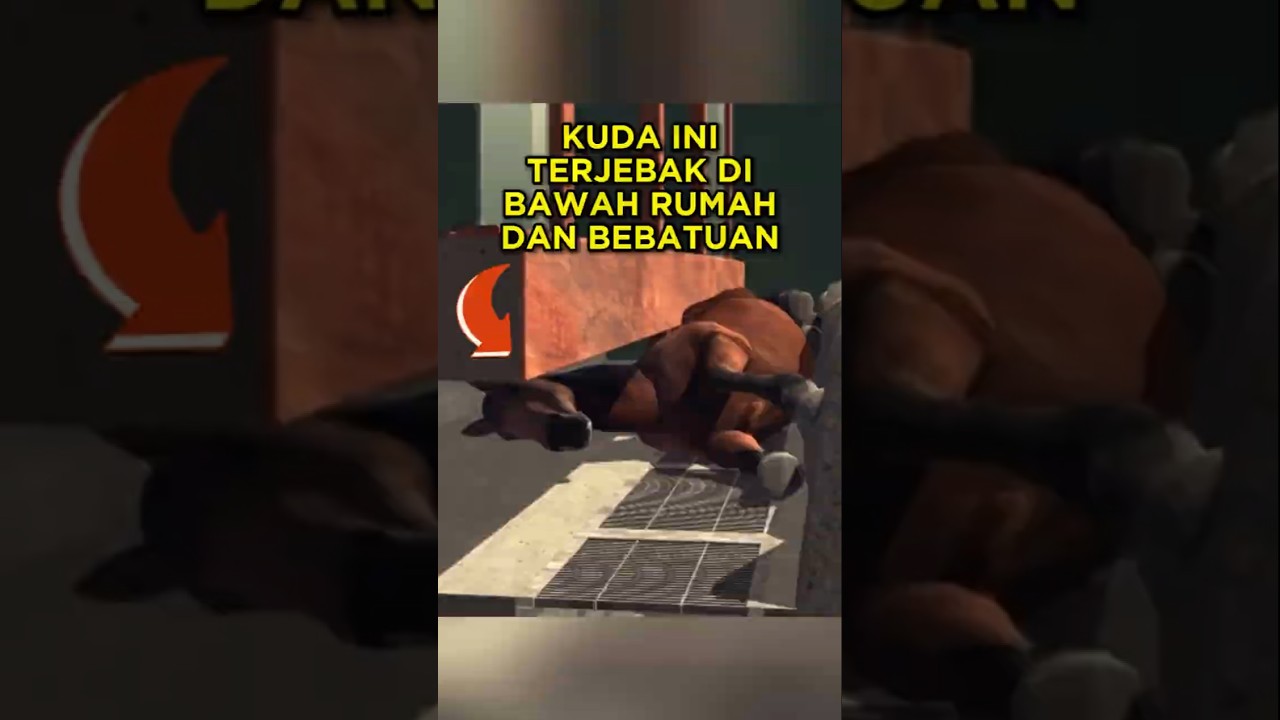 Induk Kuda Ini Jatuh Ke Bawah Rumah dan Bebatuan, Hingga Akhirnya.. 🐴🥺 #shorts #kuda