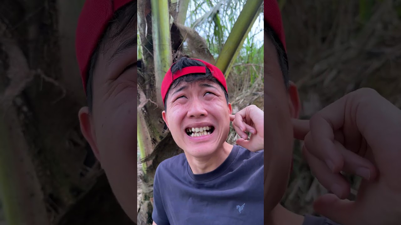 Survival Skills: Useful and Clever #outdoors #survival #campfire #bushcraft