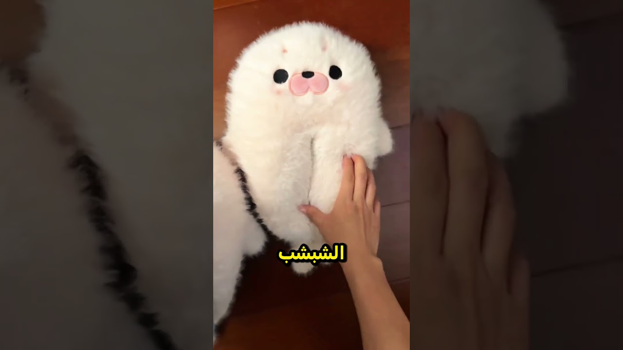 زميلتها في السكن دمّرت شباشبها المفضلة 😅