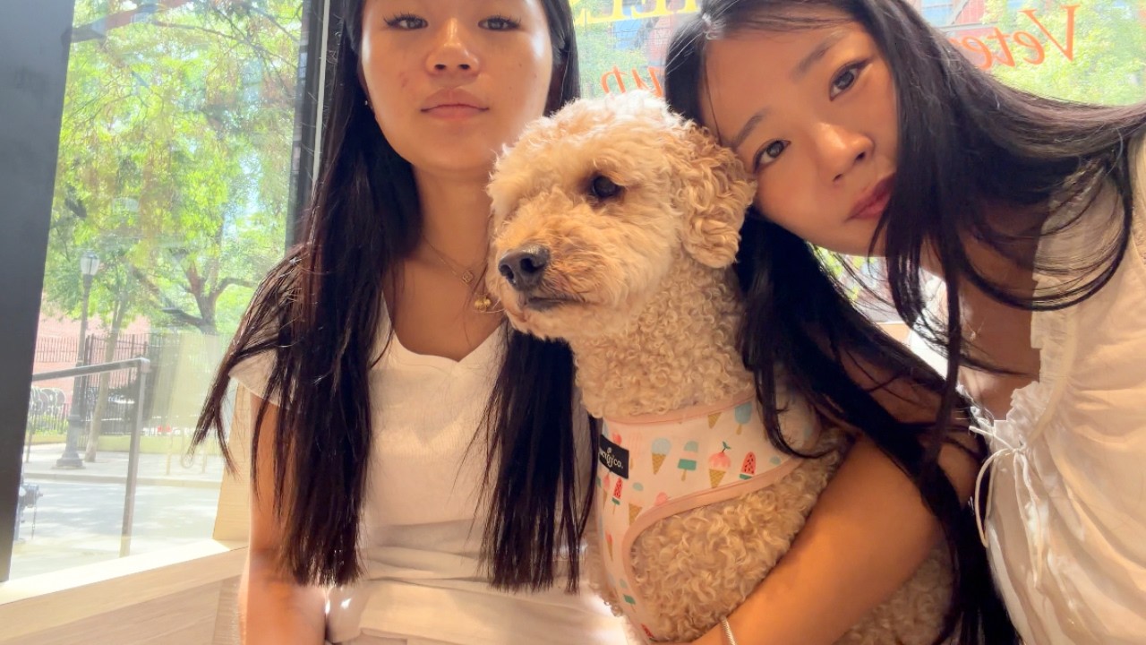 NYC WEEKEND VLOG WITH MY ANNOYING AF SISTER